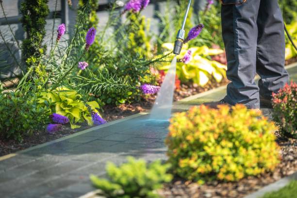 Best Pool Deck Cleaning  in Maplewood, MO