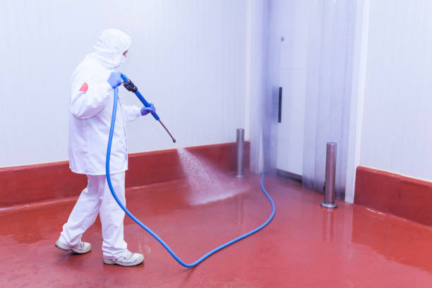 Best Warehouse Cleaning  in Maplewood, MO