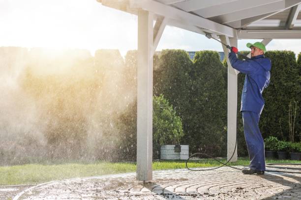 Best Driveway Pressure Washing  in Maplewood, MO