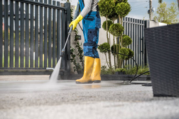 Best Fence Cleaning  in Maplewood, MO