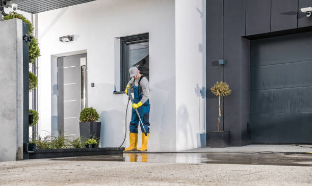 Best Building Exterior Washing  in Maplewood, MO